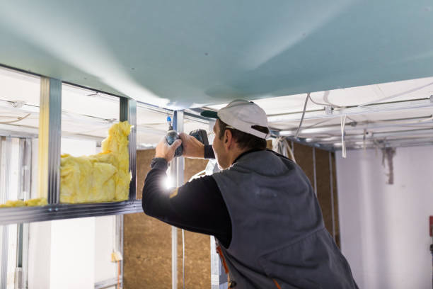 Best Eco-Friendly Insulation in Winter Beach, FL