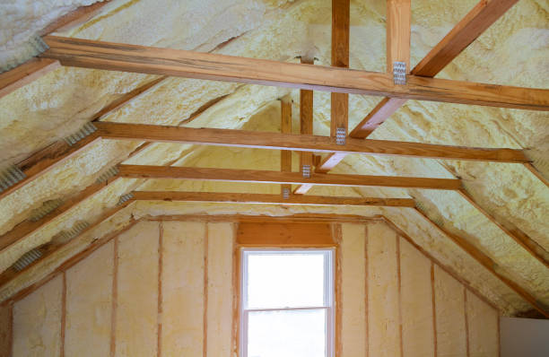 Best Eco-Friendly Insulation in Winter Beach, FL