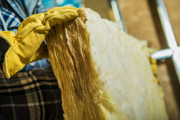 Best Specialized Insulation Services in Winter Beach, FL